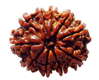 10 Mukhi (Nepali)