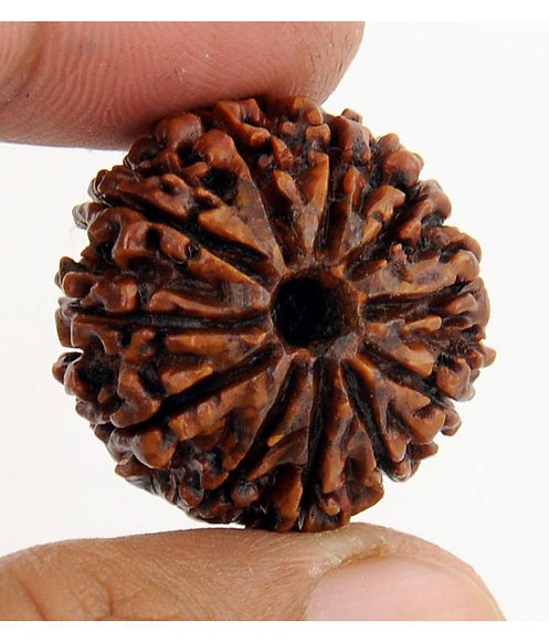 11 Mukhi (Nepali)