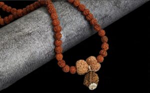 Swastha Vriddhi mala