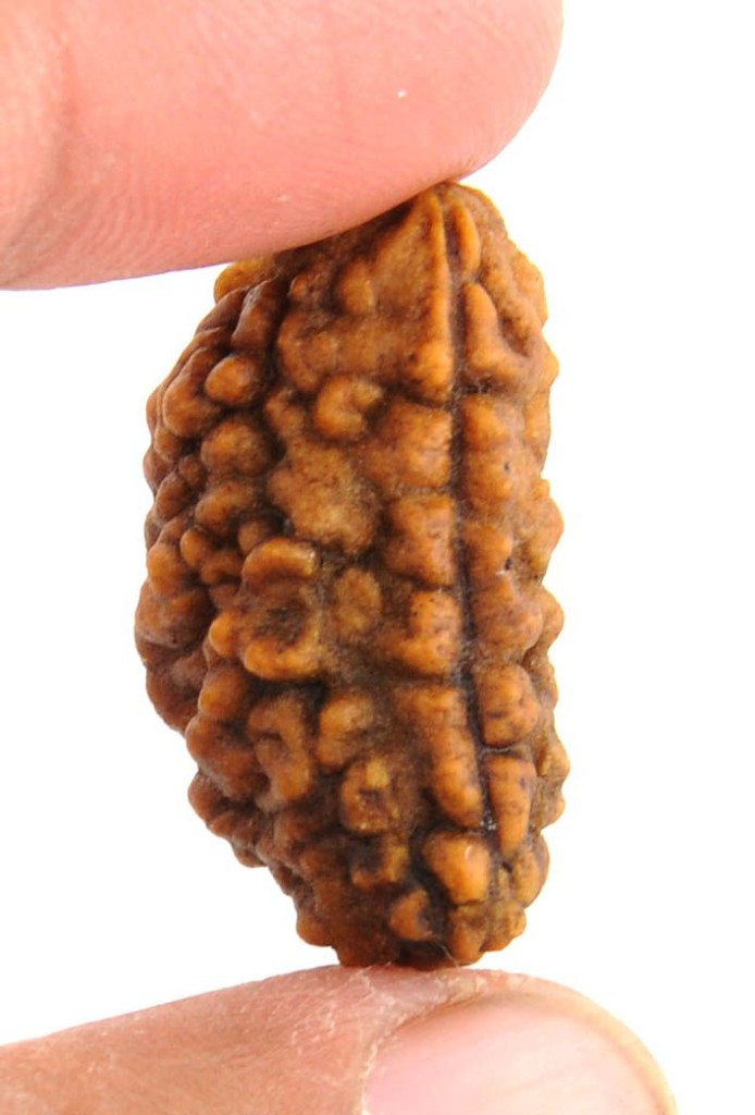 01 Mukhi