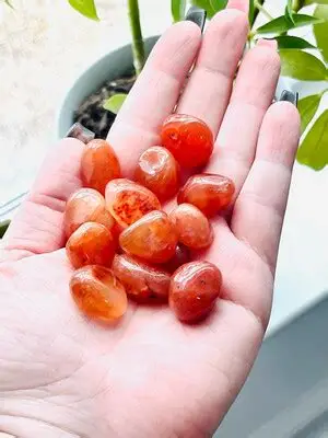 Carnelian Tumbles - Image 2