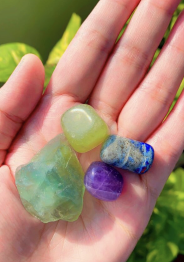 Student Education Kit