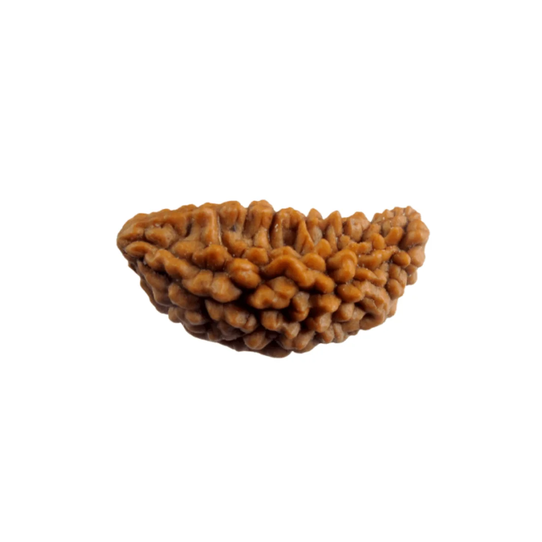 01 Mukhi - Image 2