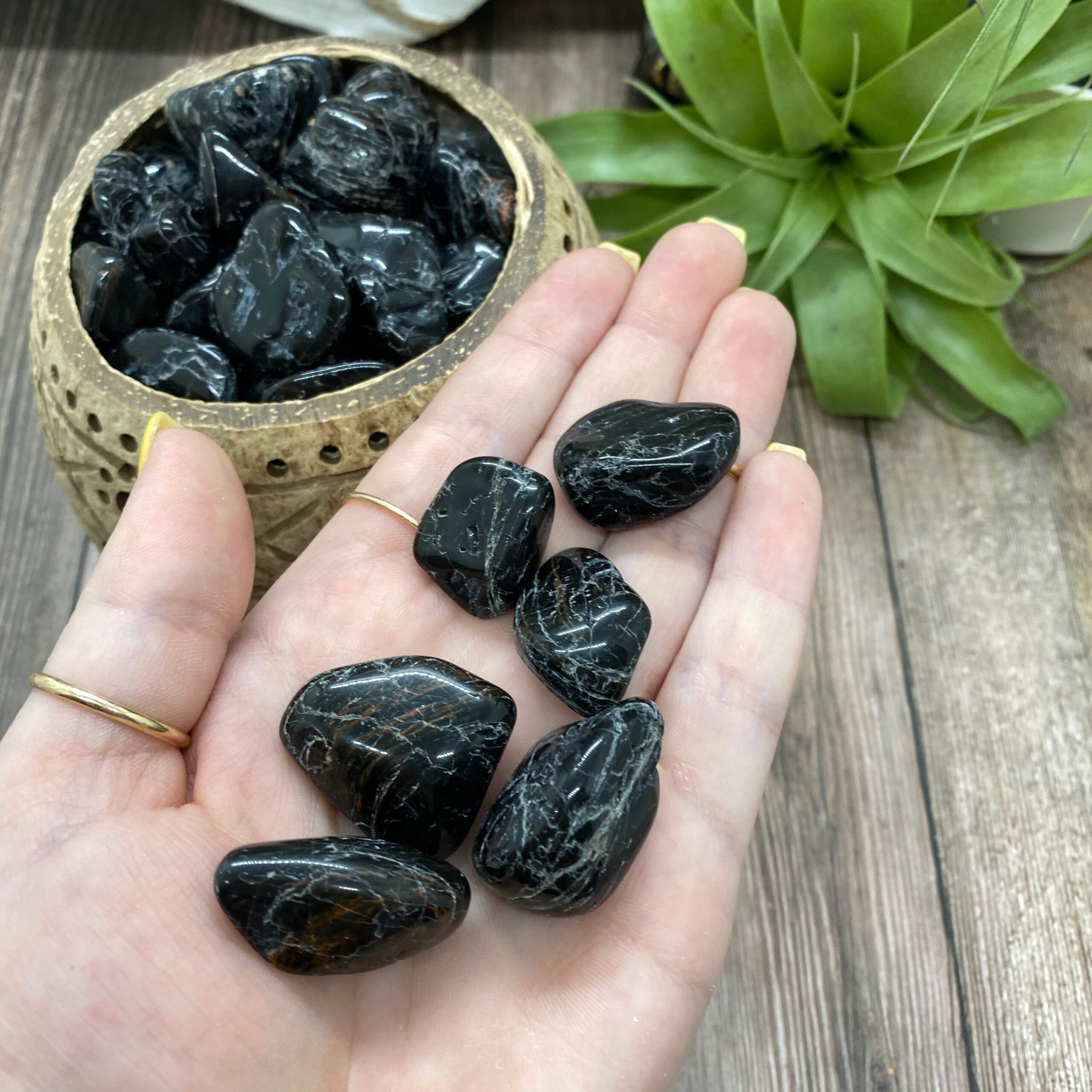 Black Tourmaline Tumbles